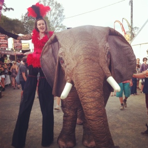 Elephant Woodford Folk Festival